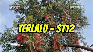 st12 - Terlalu Lirik