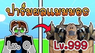 ผมใช้ผลช้างแมมมอธถาวรฟาร์มจนครบทุกสกิล เพื่อไปตบบิ๊กมัม | Blox Fruits Roblox