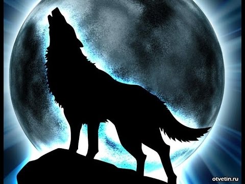 картинки рисунки волка онлайн
