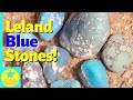 What is a Leland Blue Stone and how do I find one? | Introduction to these amazing stones!