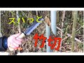 鉈N-1８０で竹を切ってみた  Nata(Japanese Machete) bamboo cut  field test