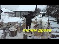 Заготовка дров. Пилим у дома.