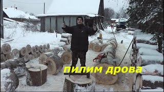 Заготовка дров. Пилим у дома.