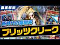 【遊戯王】※あなたの盤面無くなります「ブリッツクリーク」デッキの構築と展開を徹底解説【デッキ紹介】