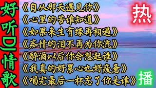 七首超好听伤感DJ情歌《自从那天遇见你》《如果来生有缘再相遇》