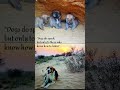 #shortsfeed #youtubeshorts #dog #doglife #animals #love #vibes #trendingshorts #photography #viral