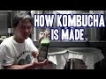 How Kombucha is Made & What Brewers Don’t Want You to Know