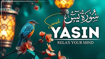 Surah Yasin (Yaseen) for Healing | Relieve Stress, Depression & Anxiety | سورة يس