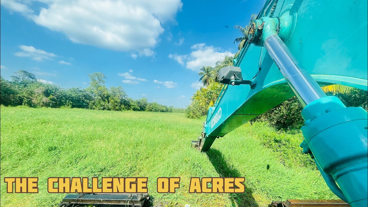 Extreme River Restoration with an Amphibious Excavator 💪💪 - YouTube