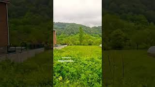 Doğa tablo gibi..Yeşile boyalı...🌿