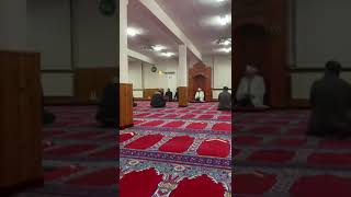 Sd Gazel - Bak Şu Dünyanın Türlü Türlü Haline Resimi