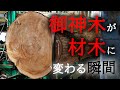 【感動のラスト】ついに「御神木」が「材木」に...|まさかの展開が待っていた!?御神木の終着点は?【 #製材 】