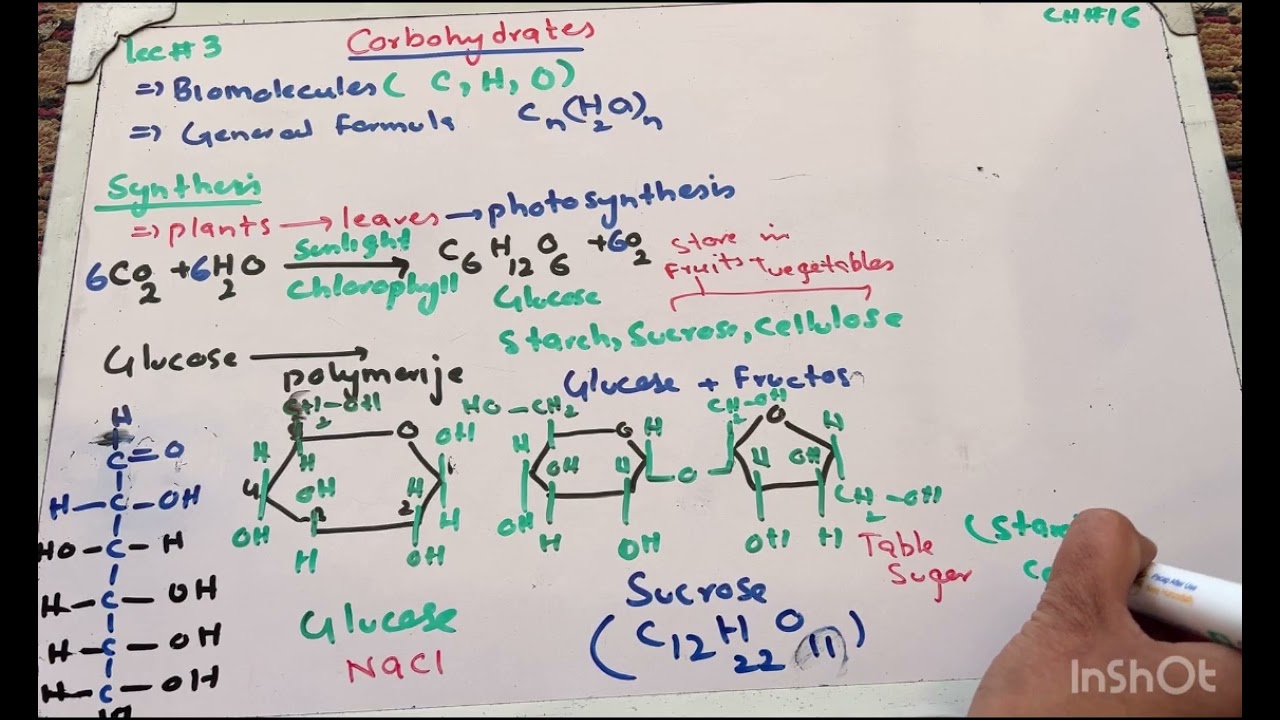 Carbohydrates/lec#3 #9thchemistry #biochemistry #chemistrypage #organiccompounds 