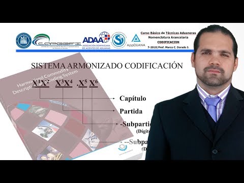 Video: ¿Cómo está estructurada la codificación?