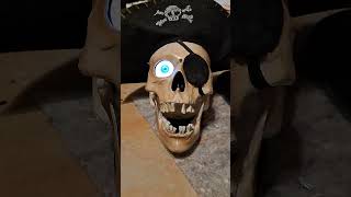 Animated Pirate Scary Skull Halloween Prop