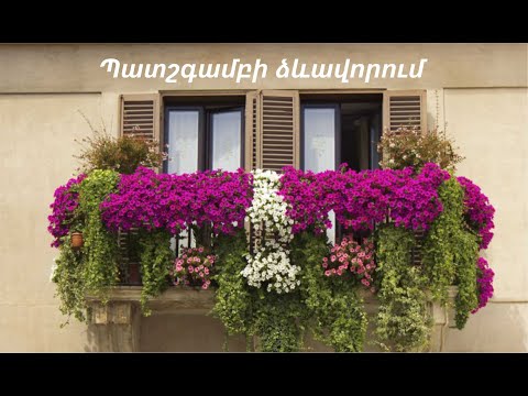 Video: Պատշգամբի ձևավորում ծաղիկներով (44 լուսանկար). Բույսեր արևոտ կողմի համար, ծաղկամաններ