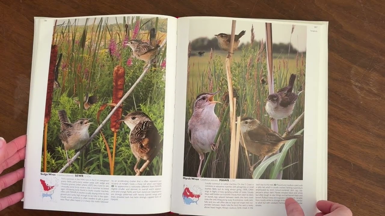 The Crossley ID Guide Review | Learning Birds the Way You Actually See Them