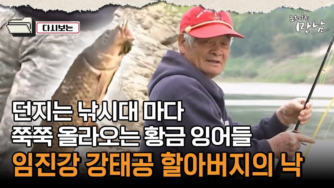 [로드다큐 만남 82회②] 던지는 낚시대 마다 쭉쭉 올라오는 황금 잉어들, 임진강 강태공 할아버지의 낙