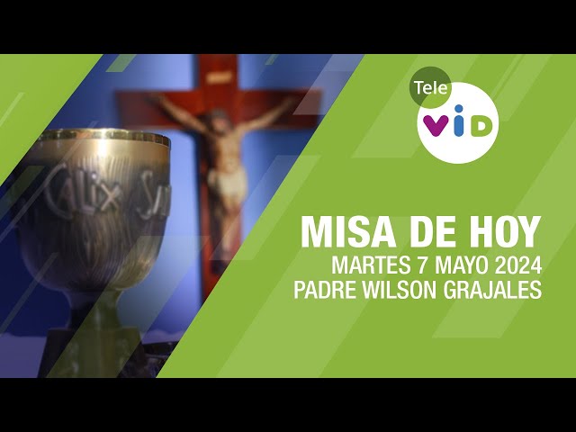 Misa de hoy ⛪ Martes 7 Mayo de 2024, Padre Wilson Grajales #TeleVID #MisaDeHoy #Misa class=