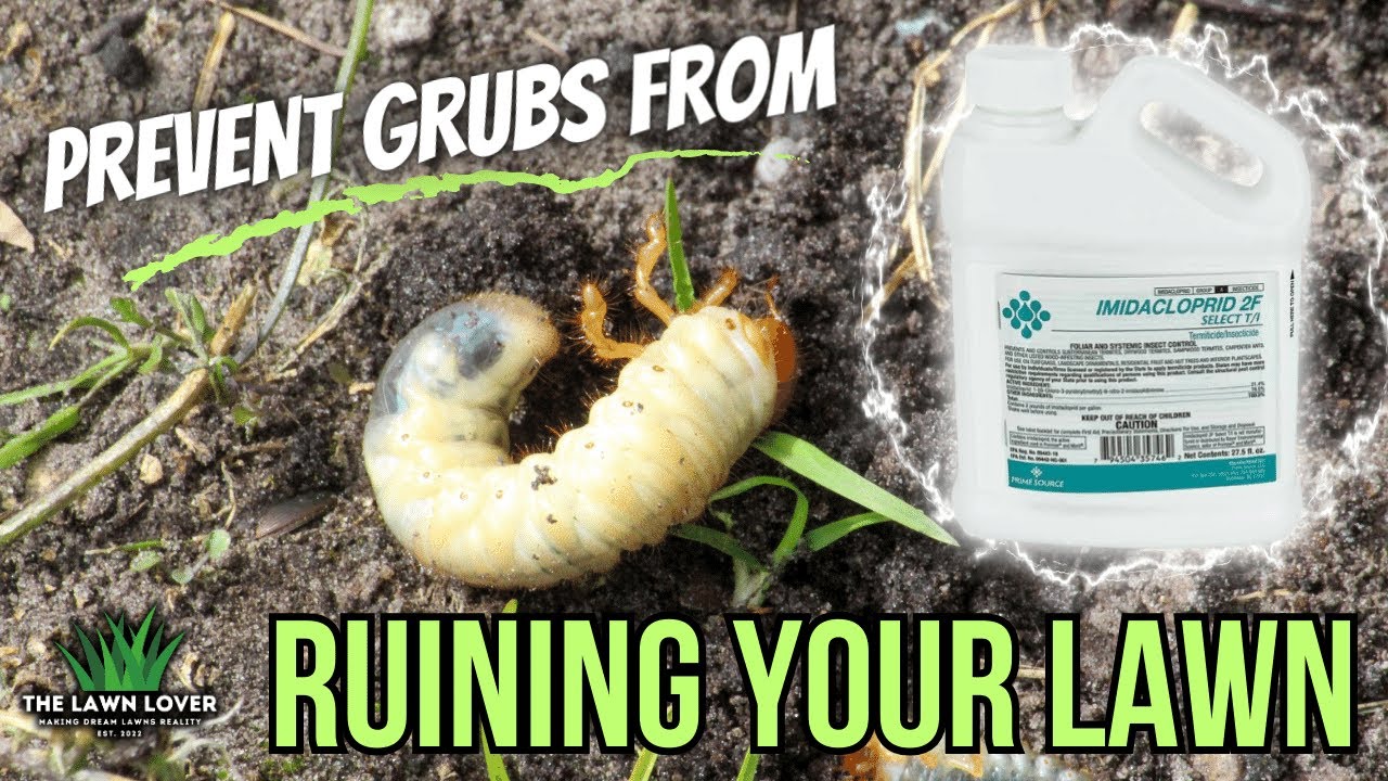 Prevent Grubs From Ruining Your Lawn ALL SEASON LONG! 