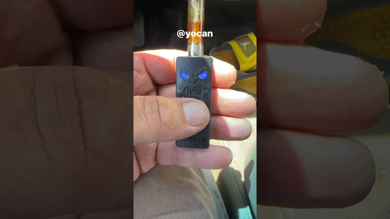 𝐘𝐨𝐜𝐚𝐧 𝐊𝐎𝐃𝐎 𝐀𝐧𝐢𝐦𝐚𝐥