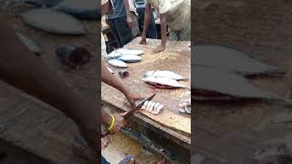 Africa fish market