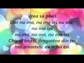 O-Zone  -  Dragostea din tei ( lyrics)