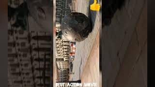 Fast And Furious 10 Movie Best Action Scenes