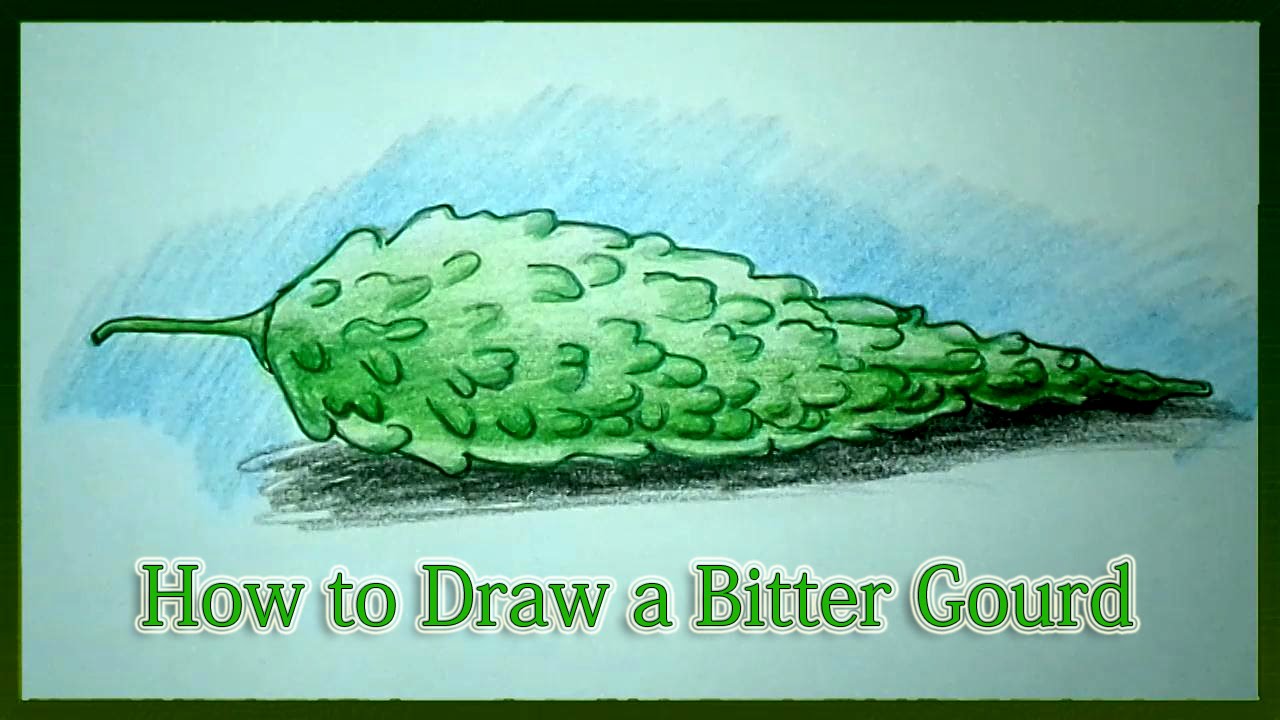 vector drawing bitter gourd oil:: tasmeemME.com