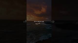 Ramiz Rövşen 2022 Şeir