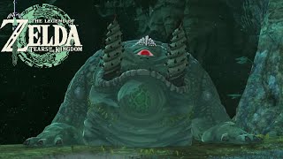 Zelda: Tears of The Kingdom - Final Two Frox Locations in Depths & Frox Monster Medal