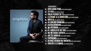 Lo Mejor De Jesús Adrián Romero Mix (Canciones Desde Nuestro Encierro) screenshot 2