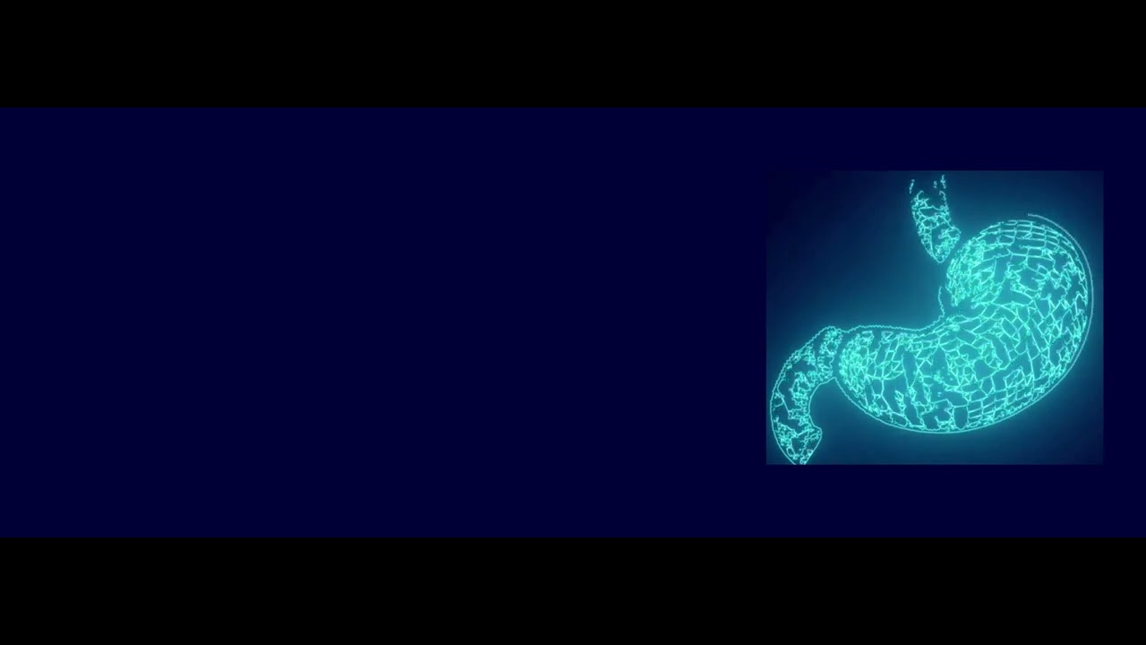 Liver Animation - YouTube