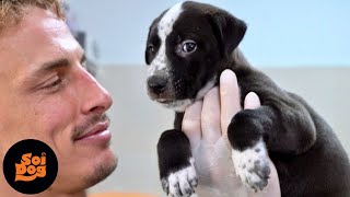 Abandoned puppies rescued from a disused factory