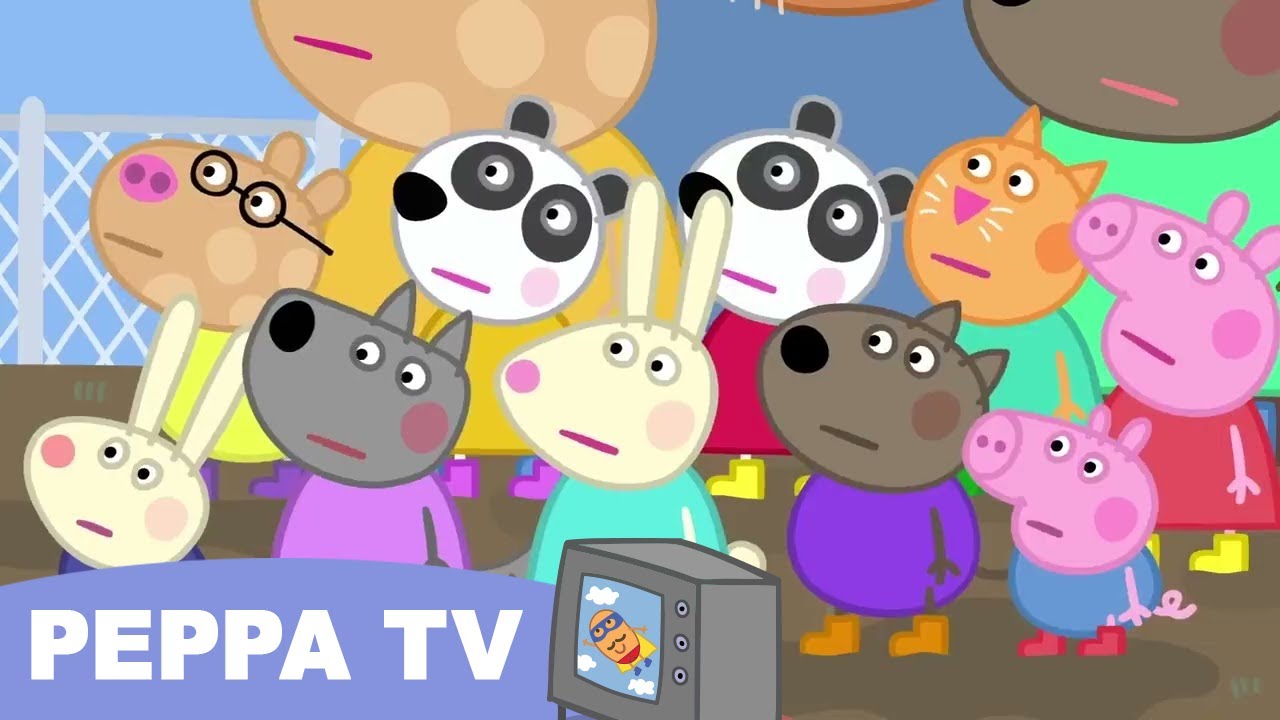 Peppa TV The Biggest Marble Run Challenge with Peppa Pig Peppa Pig Official Family Kids