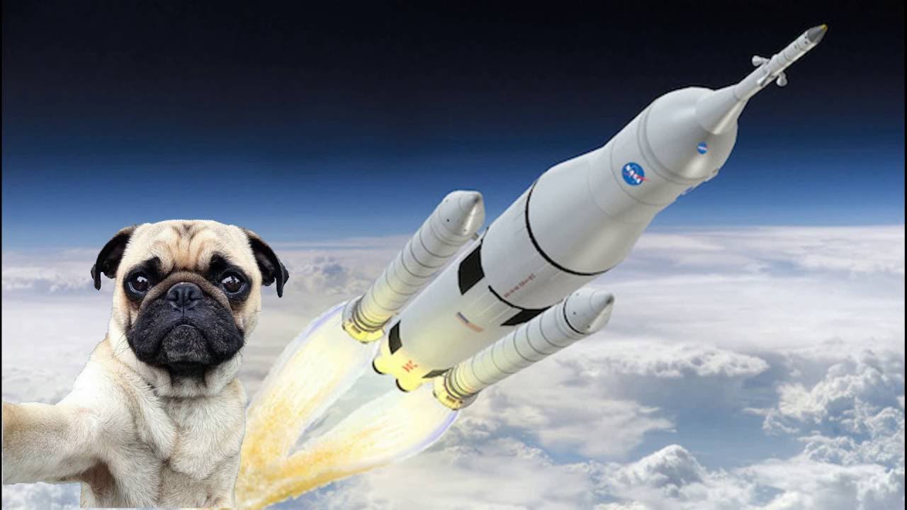 Flat earther rocket werabars