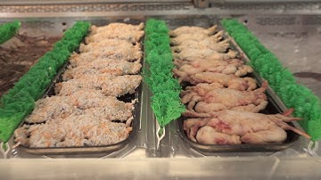 What is a Soft Shell Crab (Retail Version)?