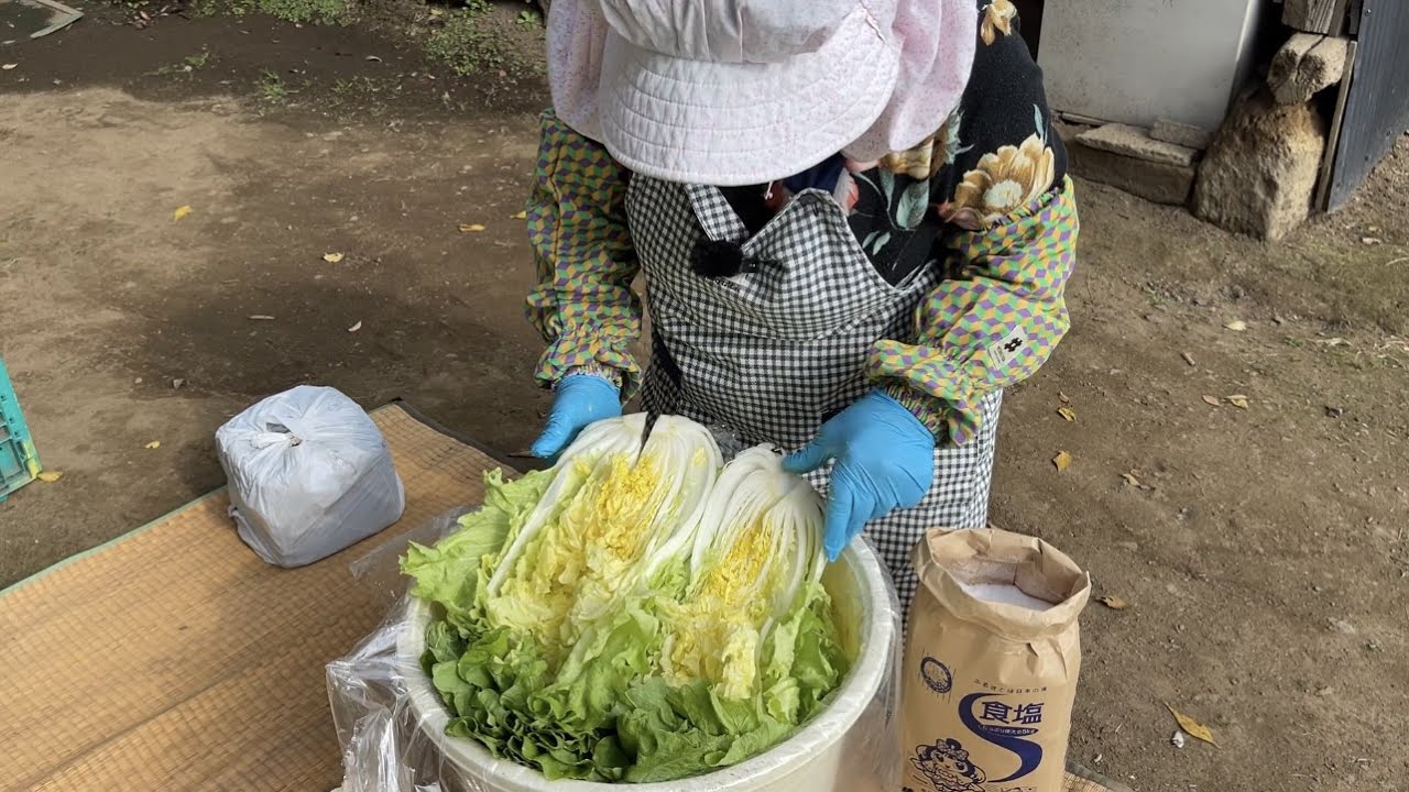 みつえばあちゃん自家製　白菜の漬け物の作り方　21/11/19