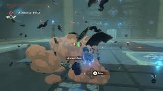 What Happens if You Take the One-Hit Obliterator into a Teaching Shrine