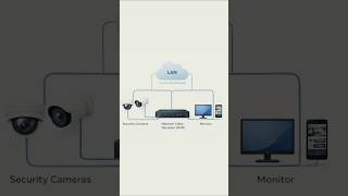 LAN or WAN or MAN? #education #computer #knowledge #networking