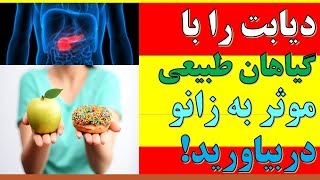 Diabetes herbs  دیابت مرض قند را با رژیم غذایی و گیاهان طبیعی موثر به زانو در بیاورید