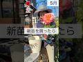 新苗を買ったら　#相原バラ園 #バラ #バラ園 #バラ栽培