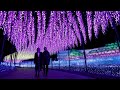Amazing illumination in japan nabana no sato 2020