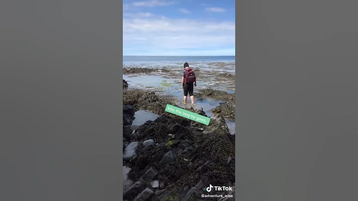 THE MOST DANGEROUS ANIMAL ON THIS PLANET | A wild bog boy