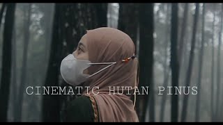 CINEMATIC HUTAN PINUS - BUMPER PAGEDONGAN (CANON 1200D LENS KIT)