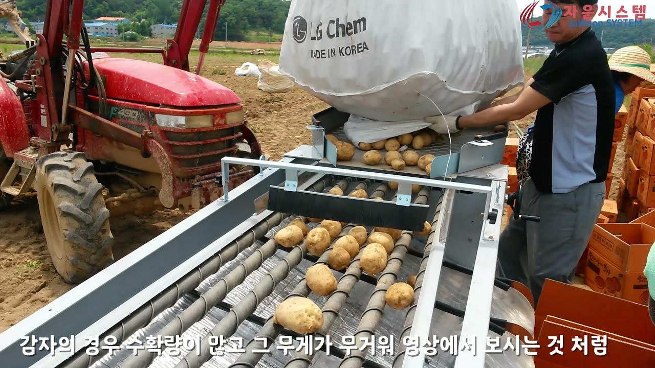 감자 선별기