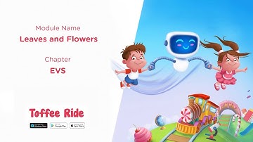 Learn EVS Part 3 - Leaves and Flowers - Class 1