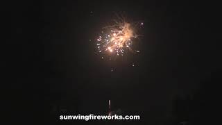 SW200422 C24 cheap cake fireworks