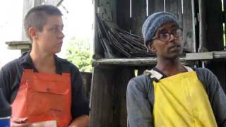 Diggers' Mirth: a worker-owned collective farm in Vermont