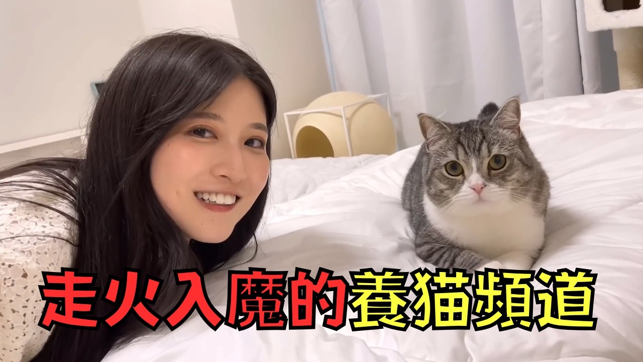 Youtuber憑貓咪年賺千萬，卻被揭為流量不擇手段！？｜叉雞